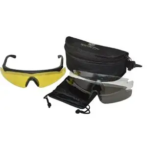 Sawfly glasses used