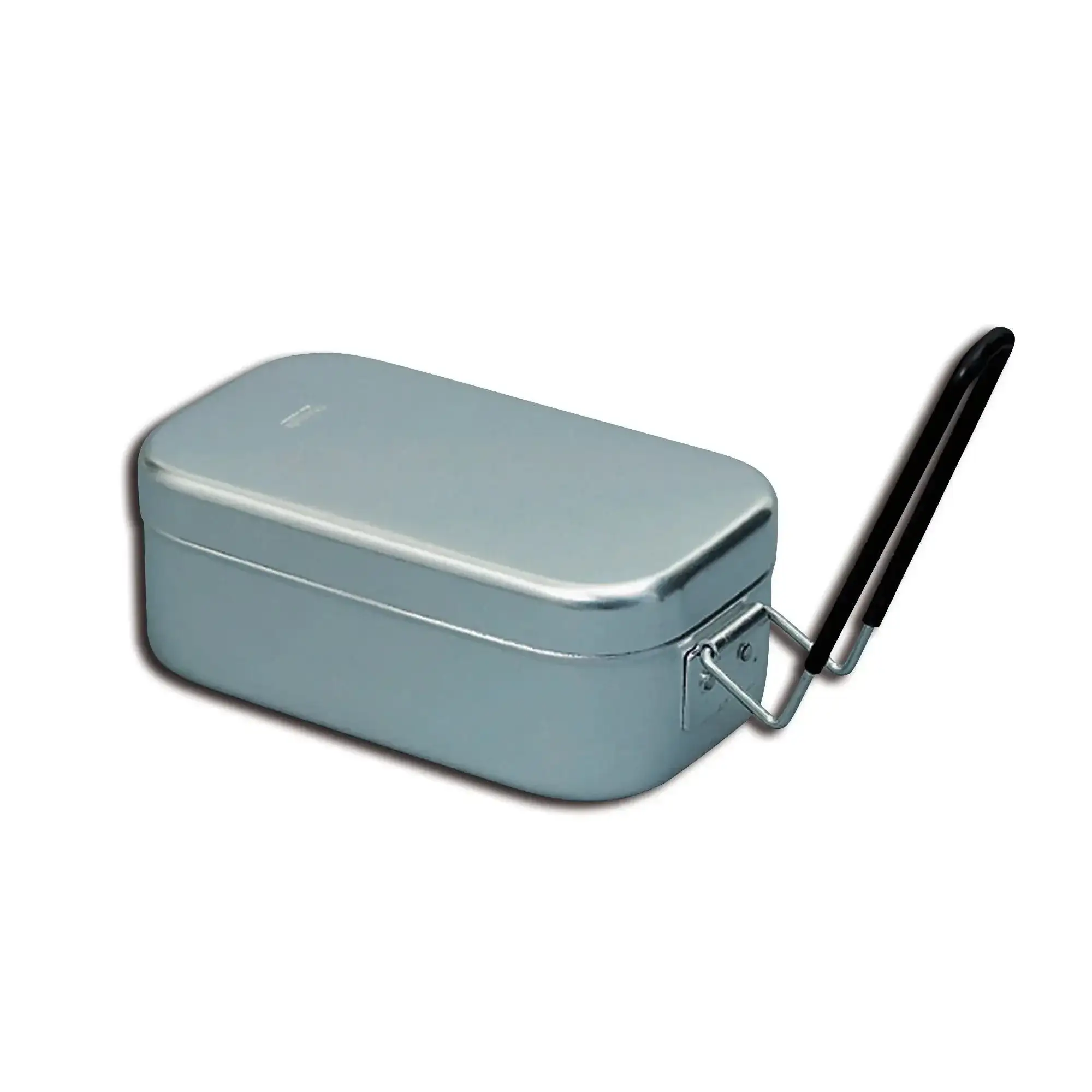 Lunch box with handle